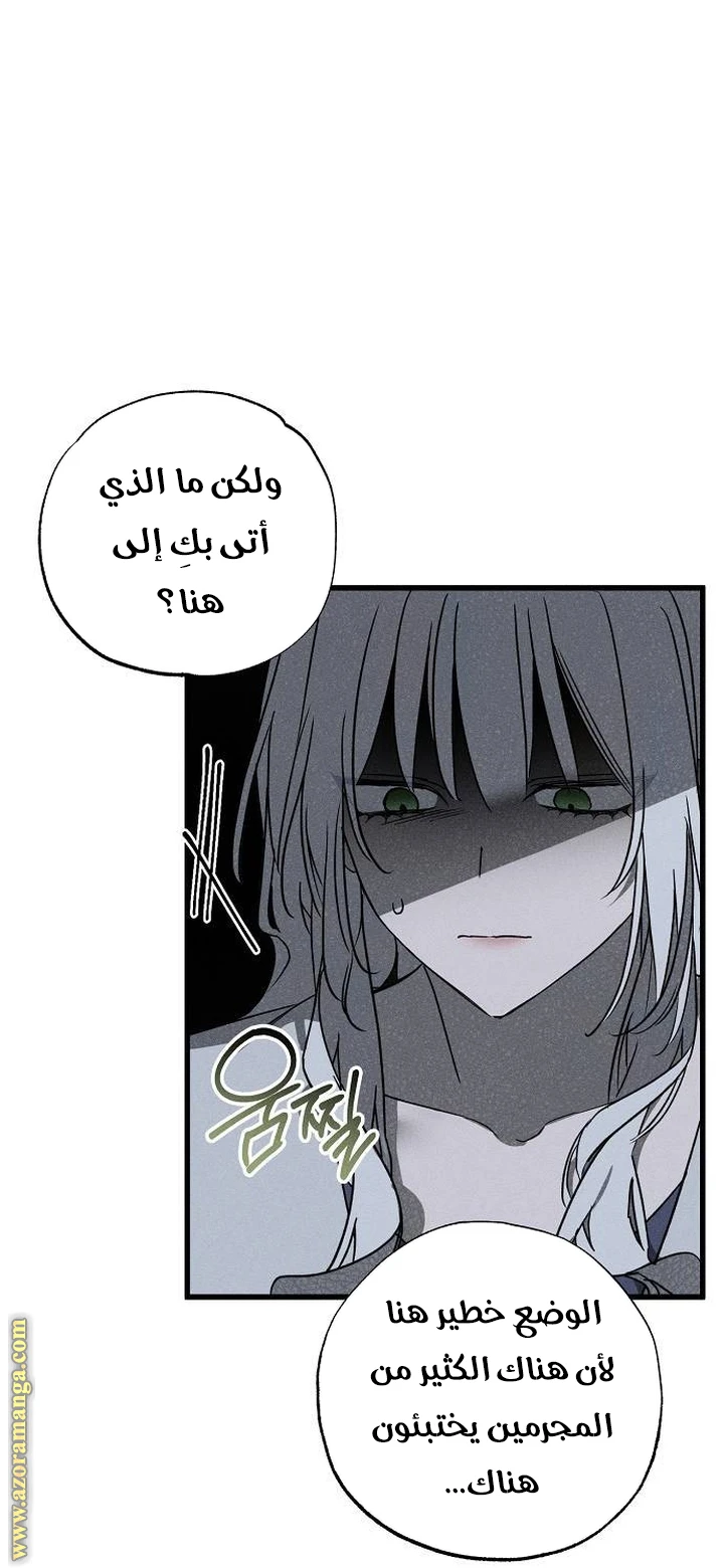 الصفحة 66