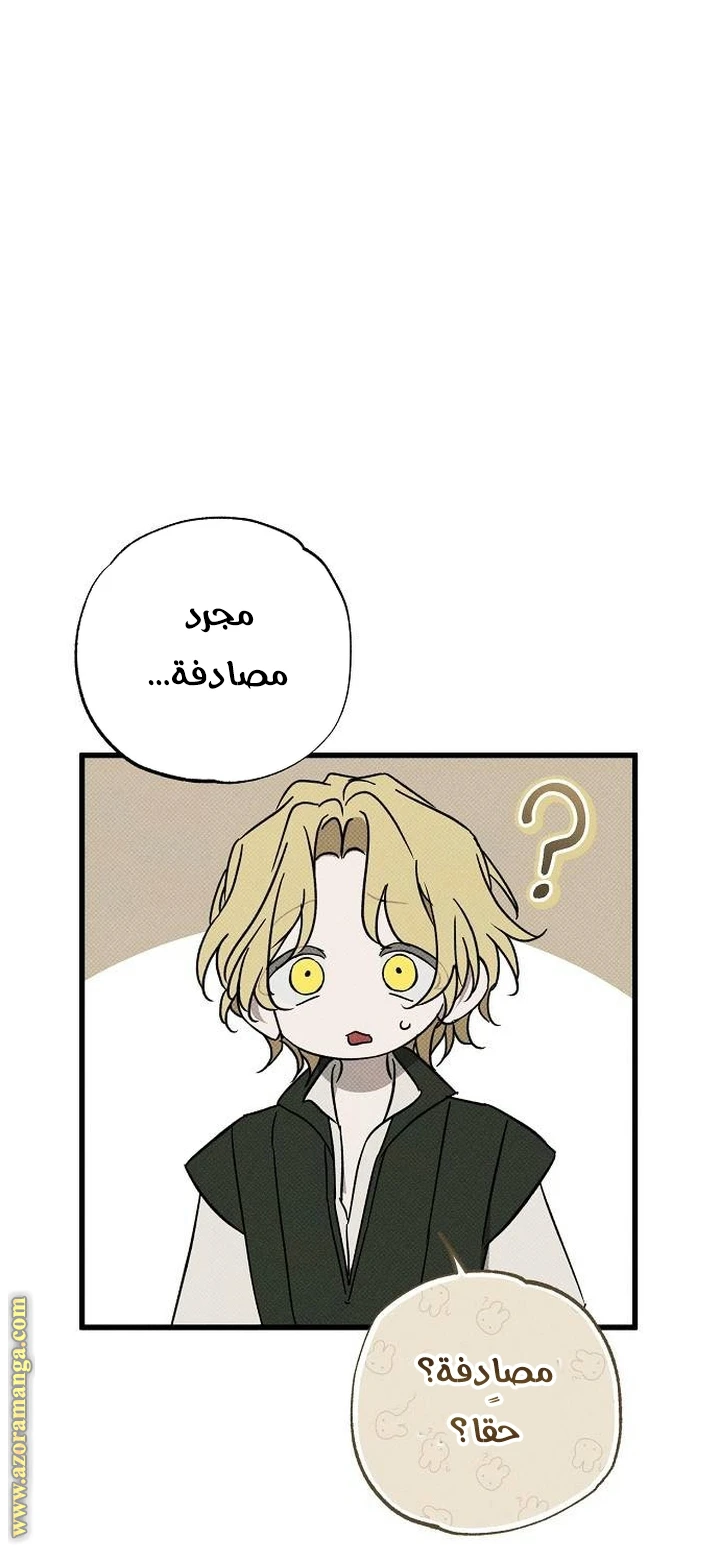 الصفحة 67