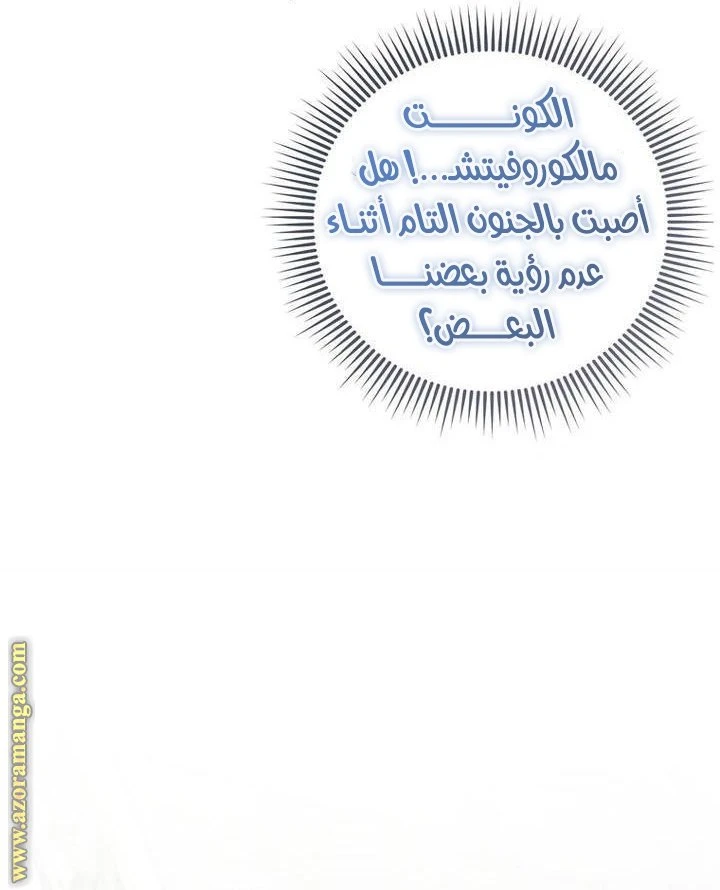 الصفحة 39