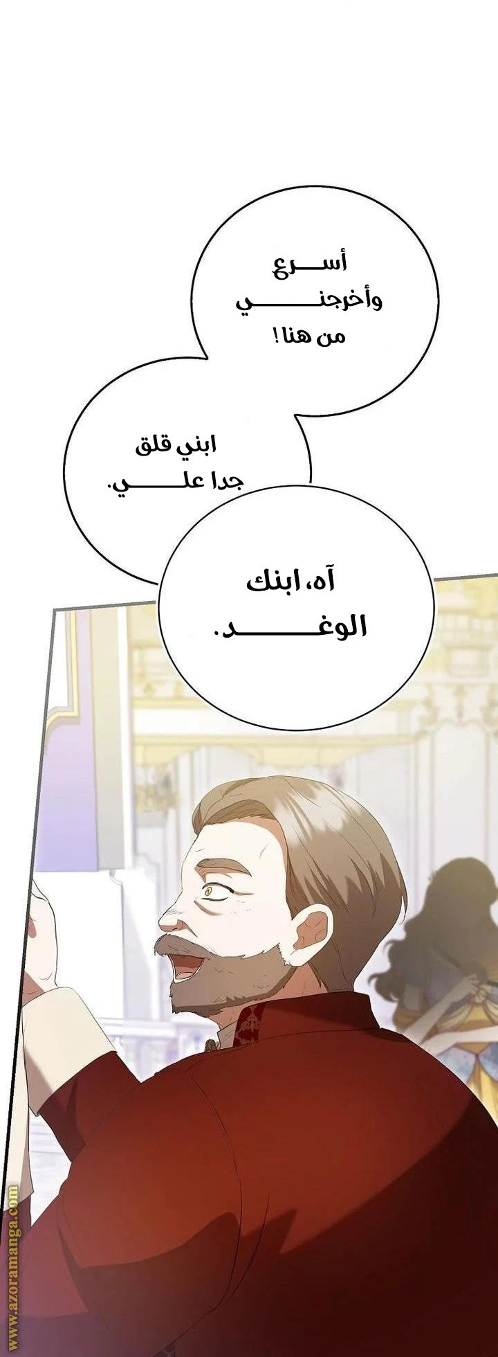 الصفحة 41