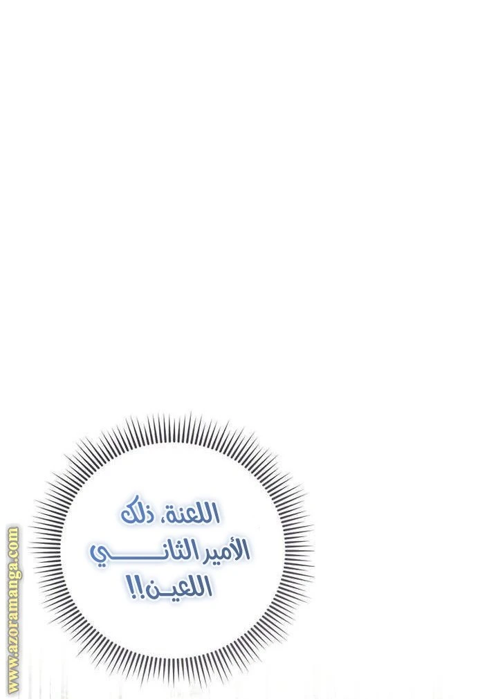 الصفحة 49