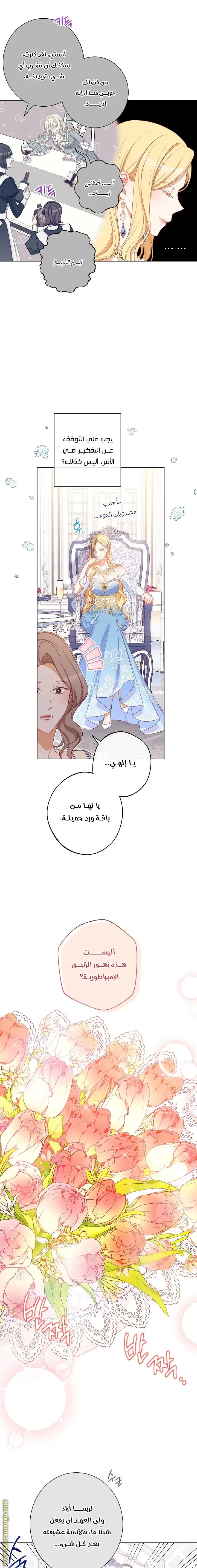 الصفحة 14