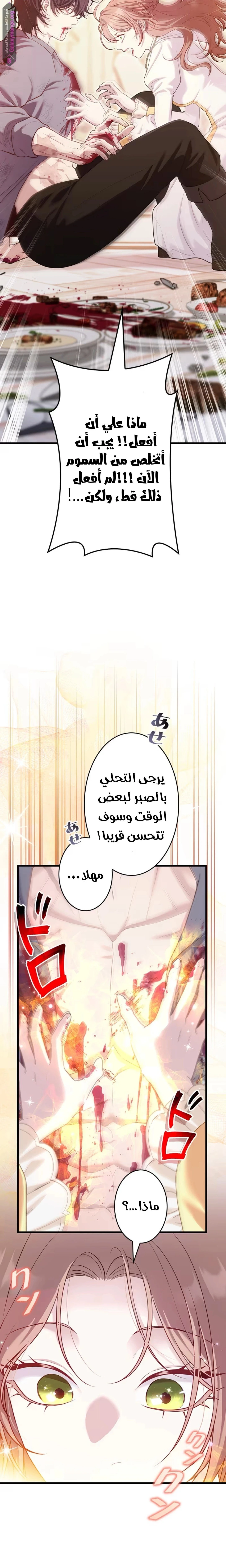 الصفحة 3