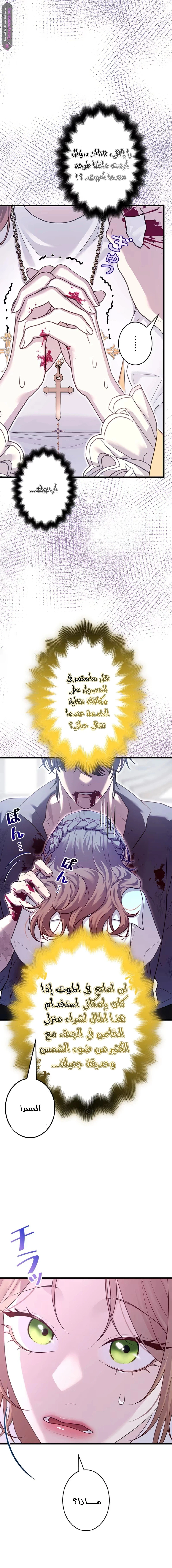الصفحة 7