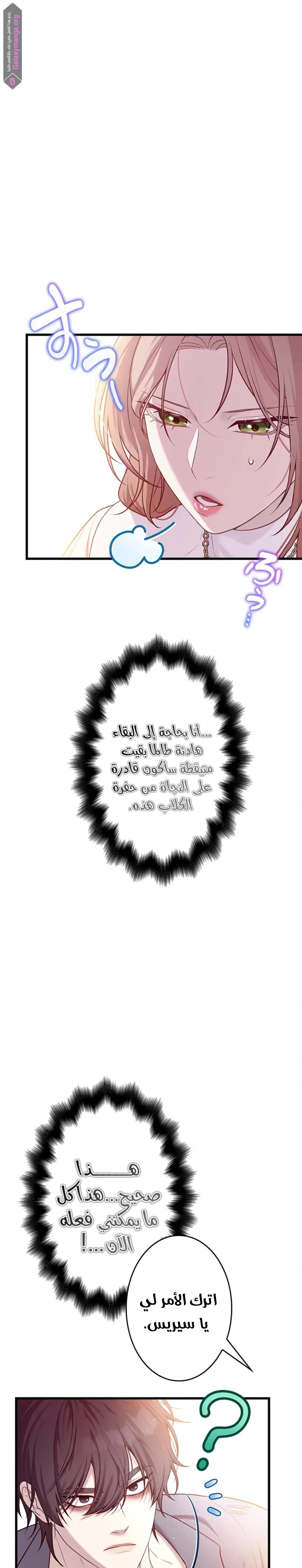 الصفحة 12