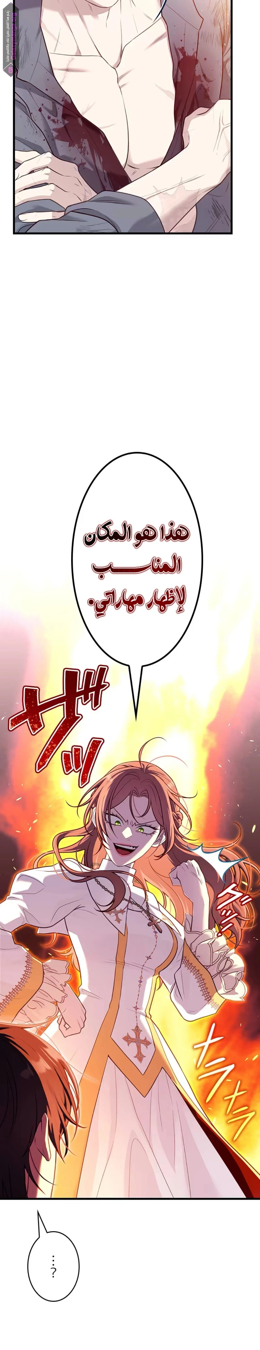 الصفحة 13