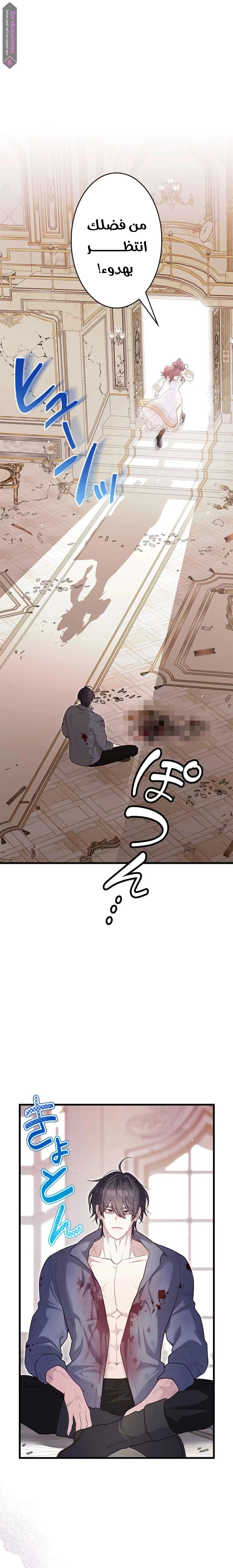 الصفحة 14