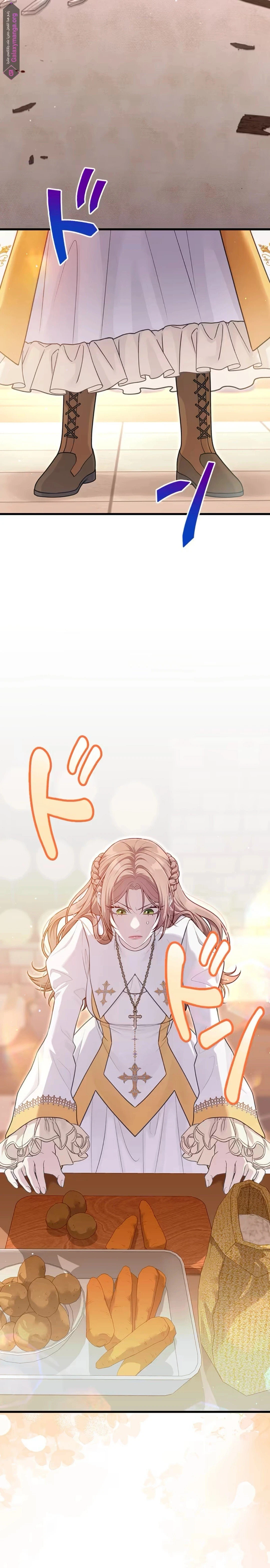 الصفحة 16