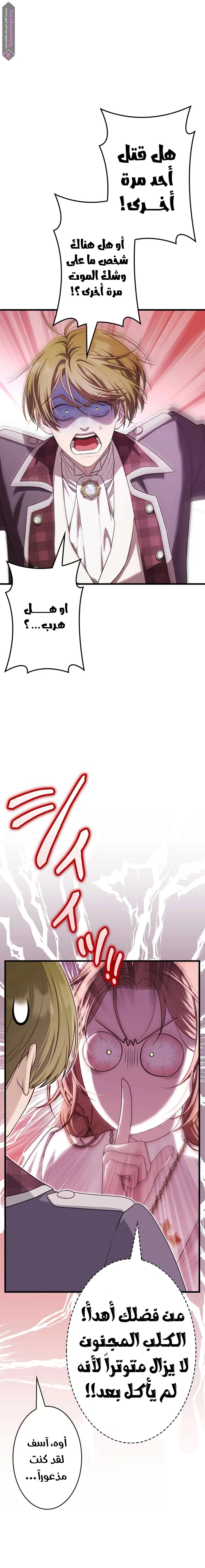 الصفحة 25
