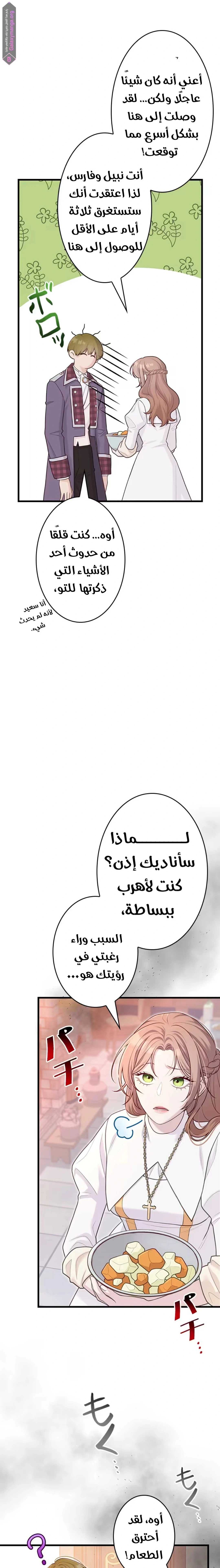 الصفحة 26