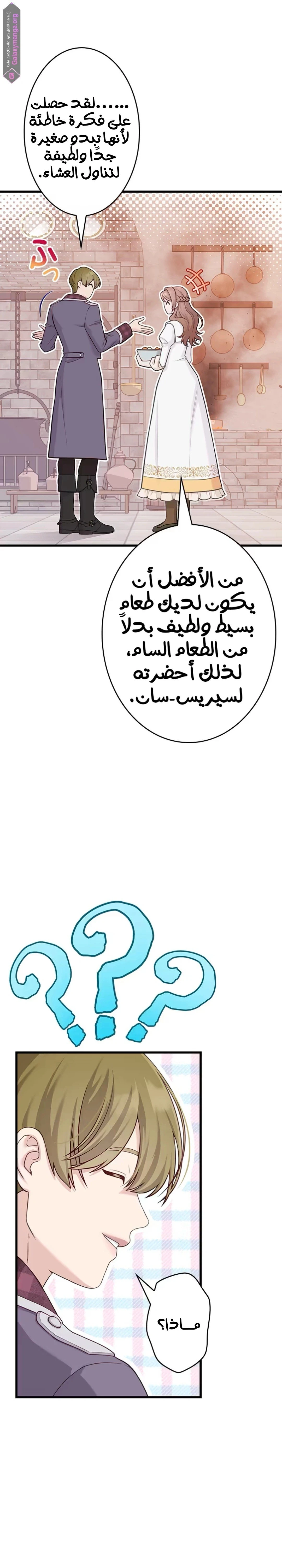 الصفحة 28