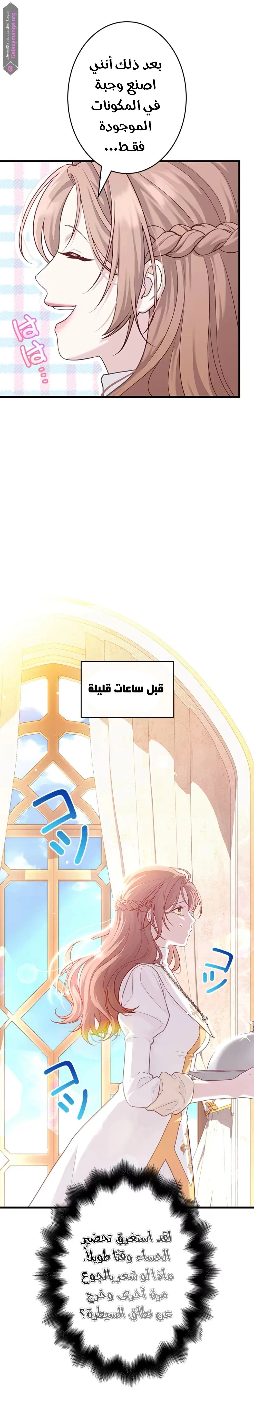 الصفحة 29