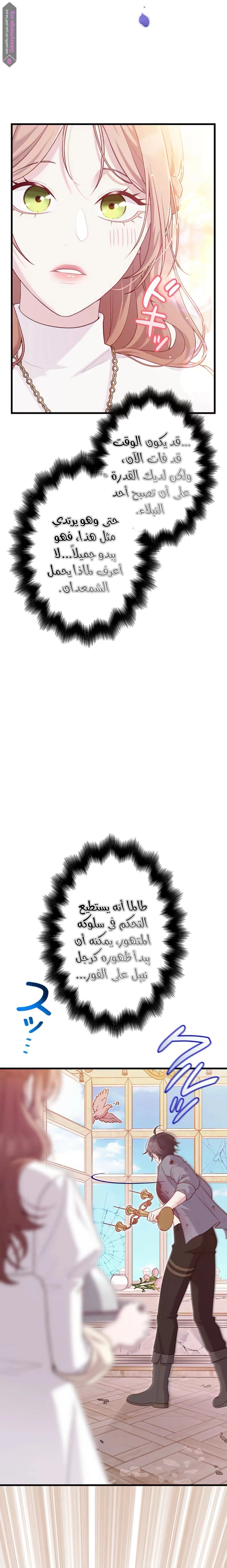 الصفحة 32