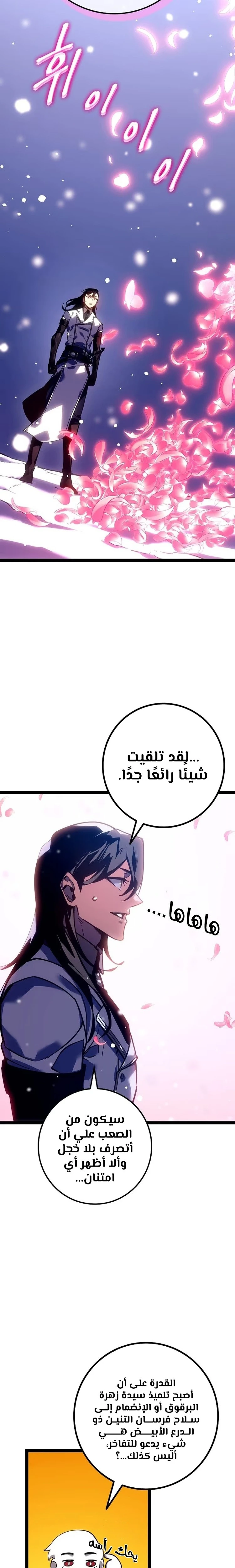 الصفحة 16