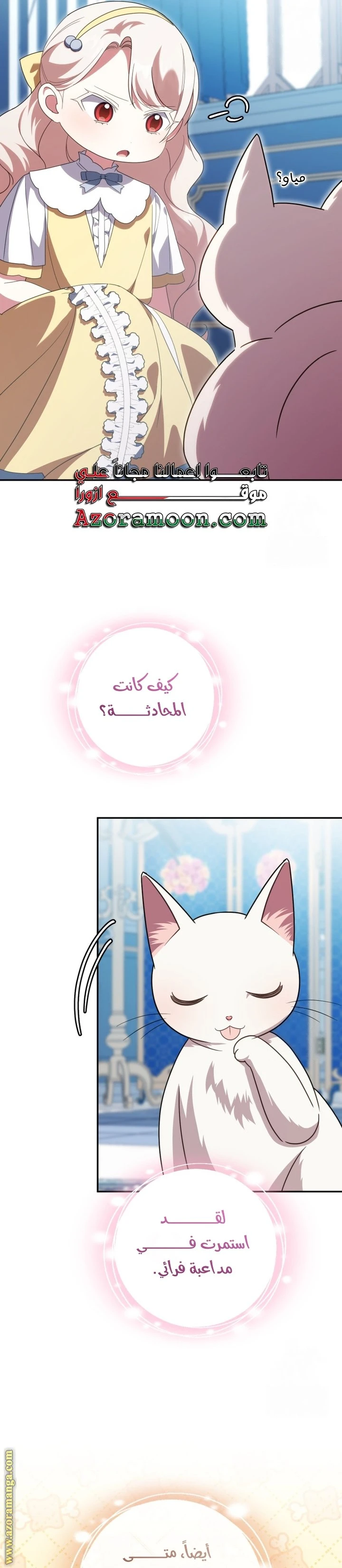 الصفحة 24