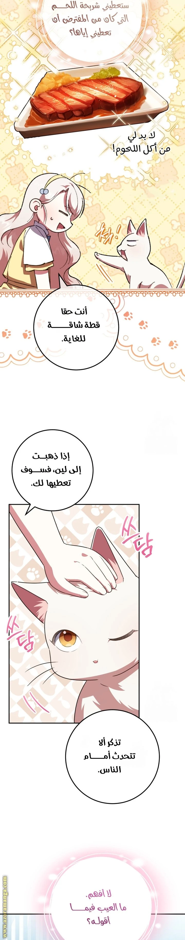 الصفحة 25