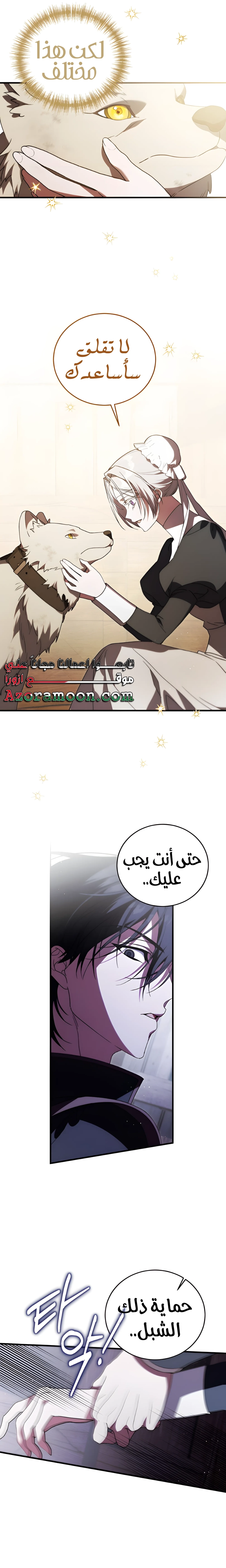 الصفحة 11