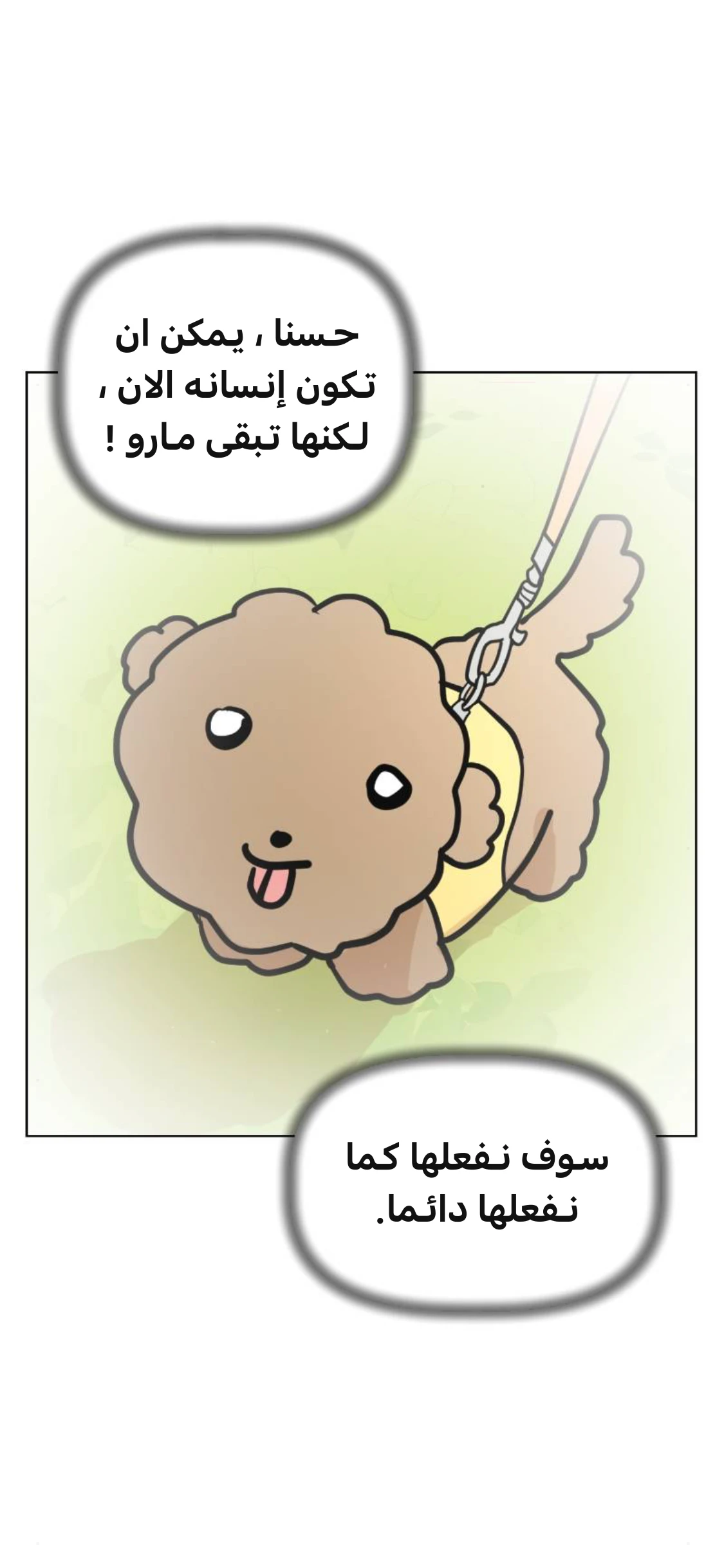 الصفحة 9