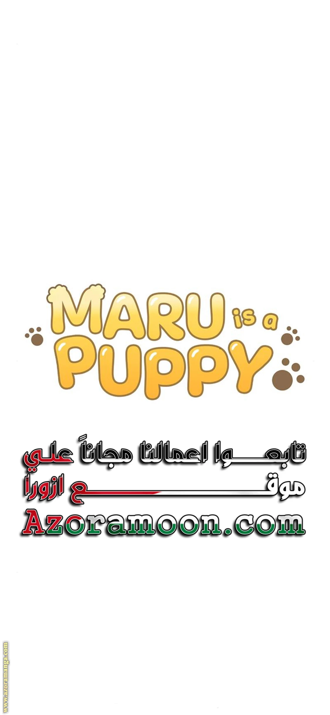 الصفحة 11