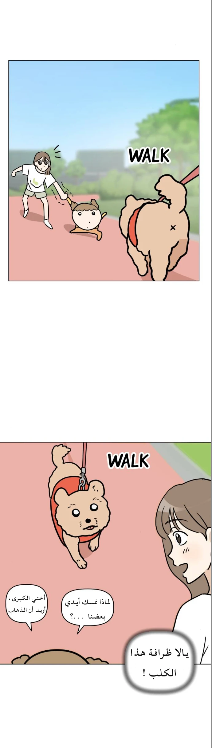 الصفحة 13