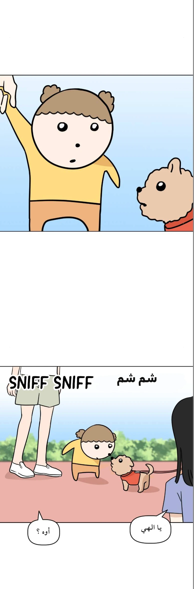 الصفحة 14