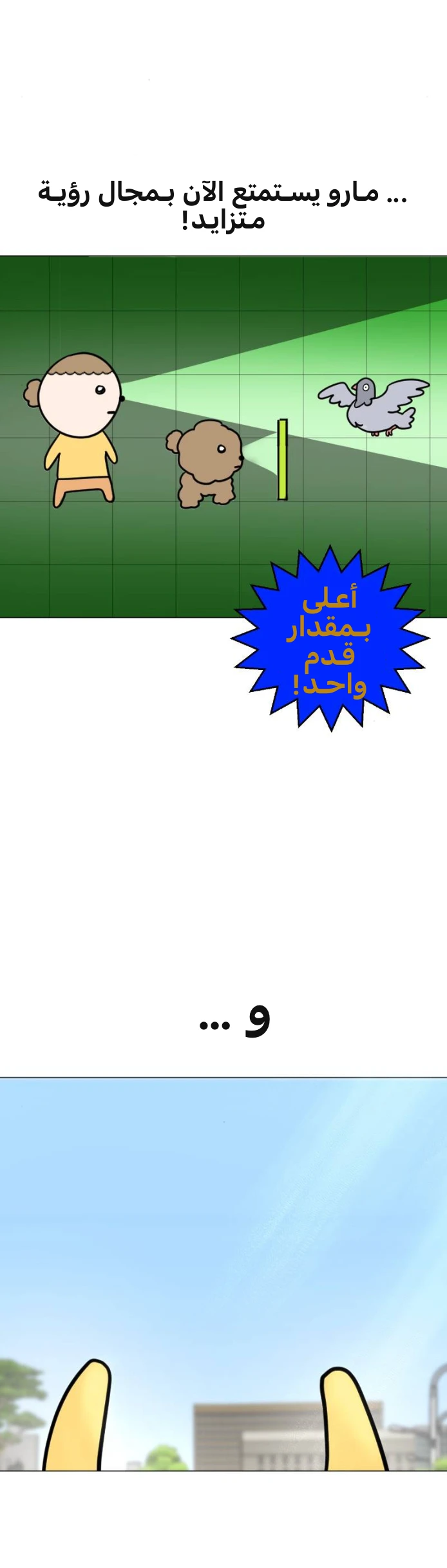 الصفحة 20