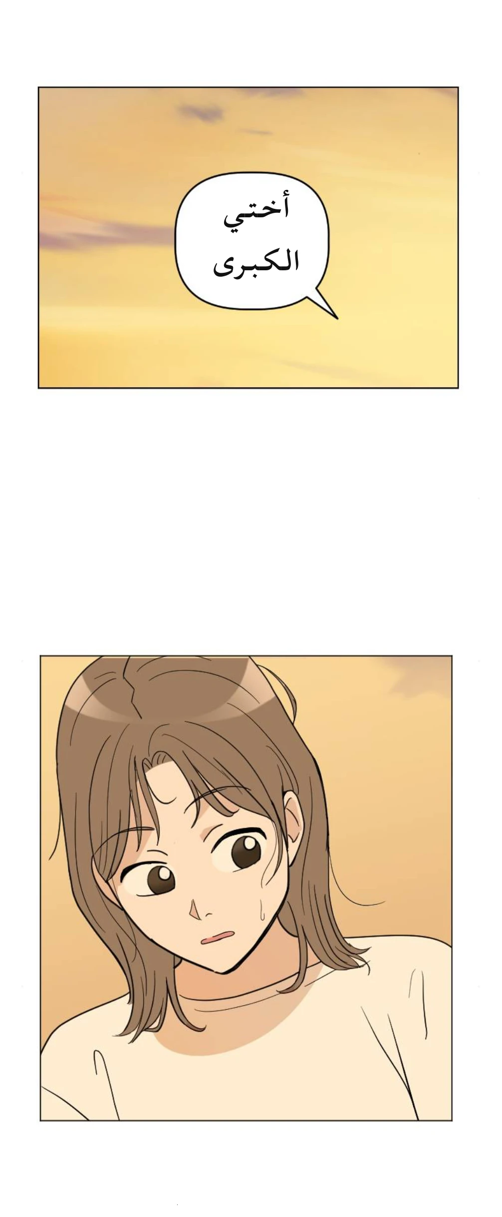 الصفحة 45