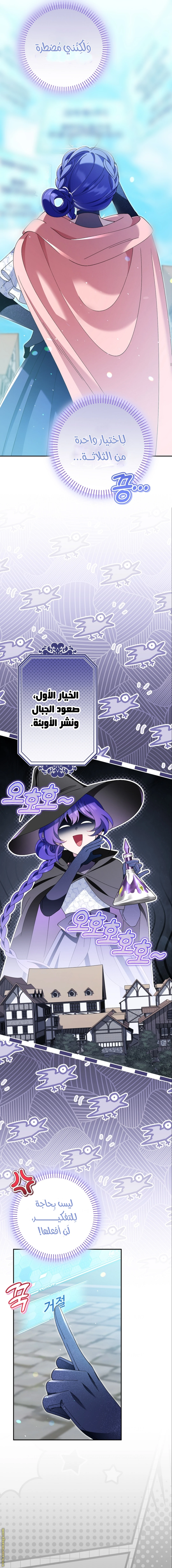 الصفحة 14