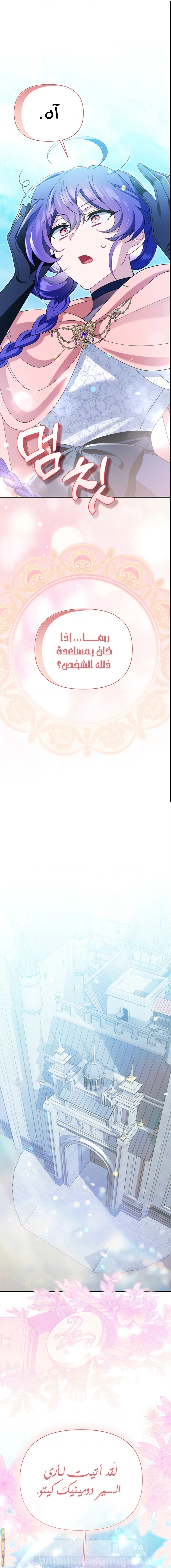 الصفحة 17