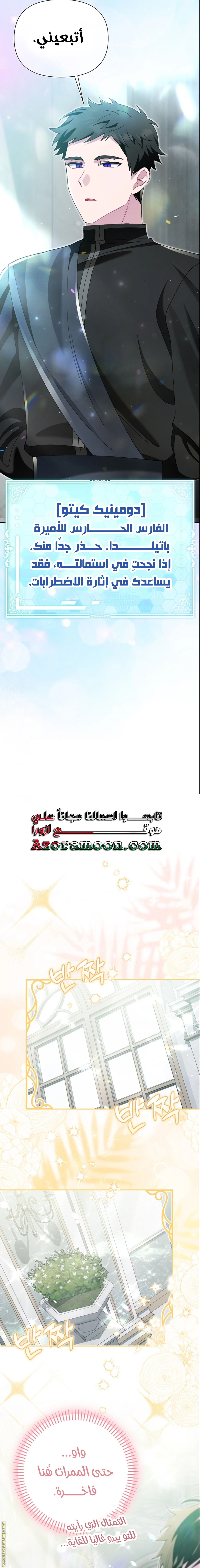 الصفحة 20