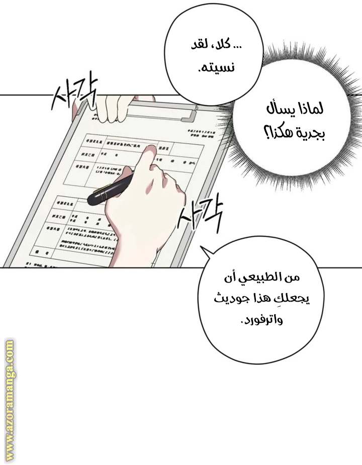 الصفحة 26