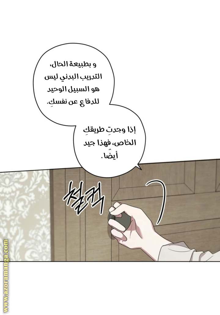 الصفحة 43