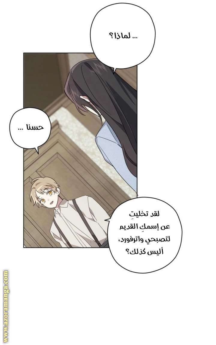 الصفحة 45