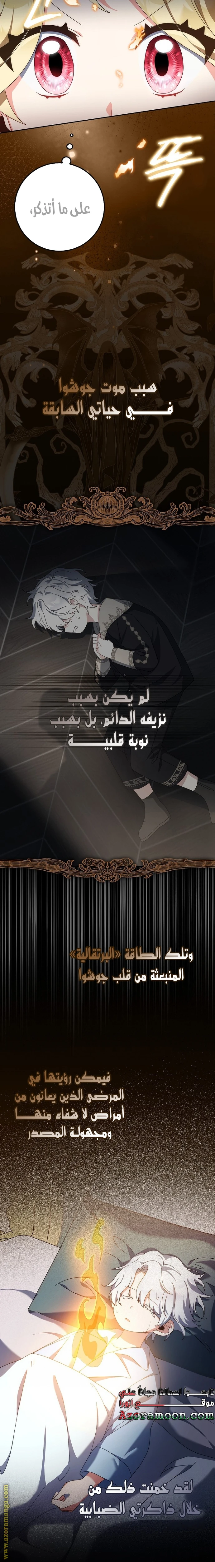 الصفحة 13