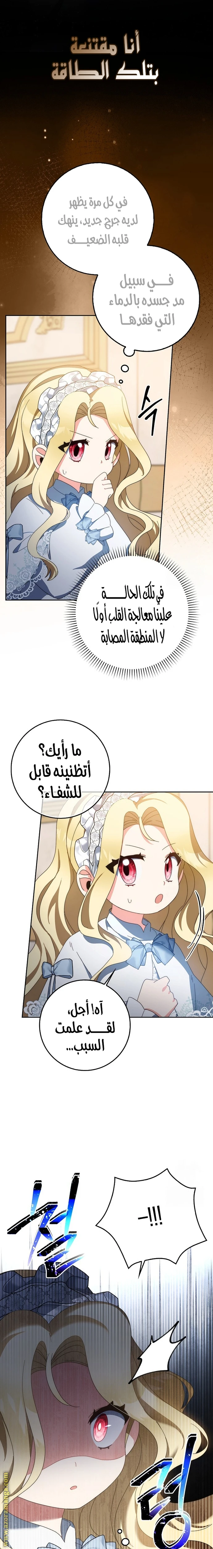 الصفحة 14