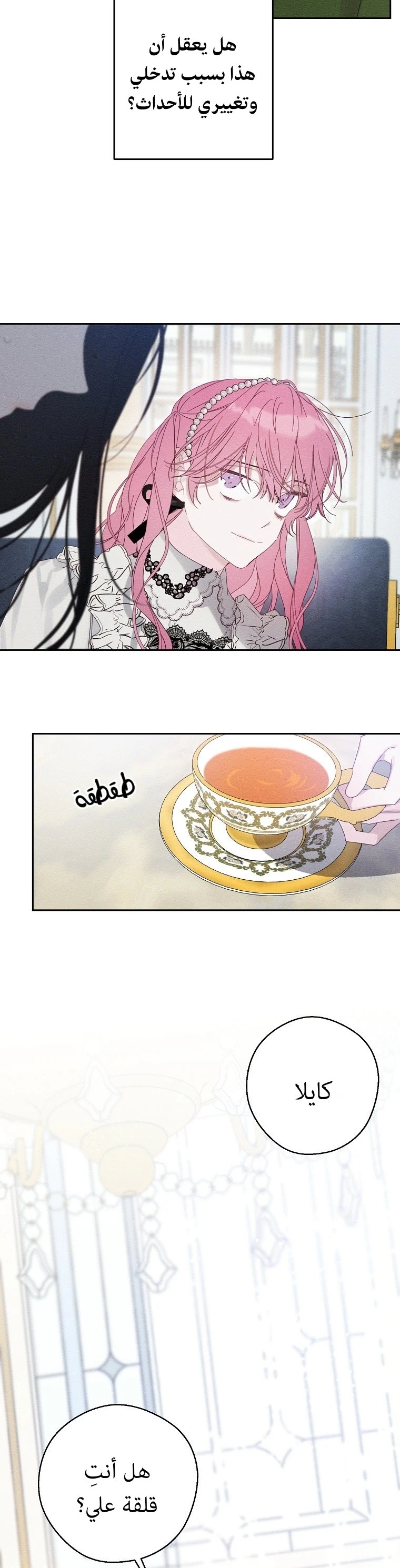الصفحة 13