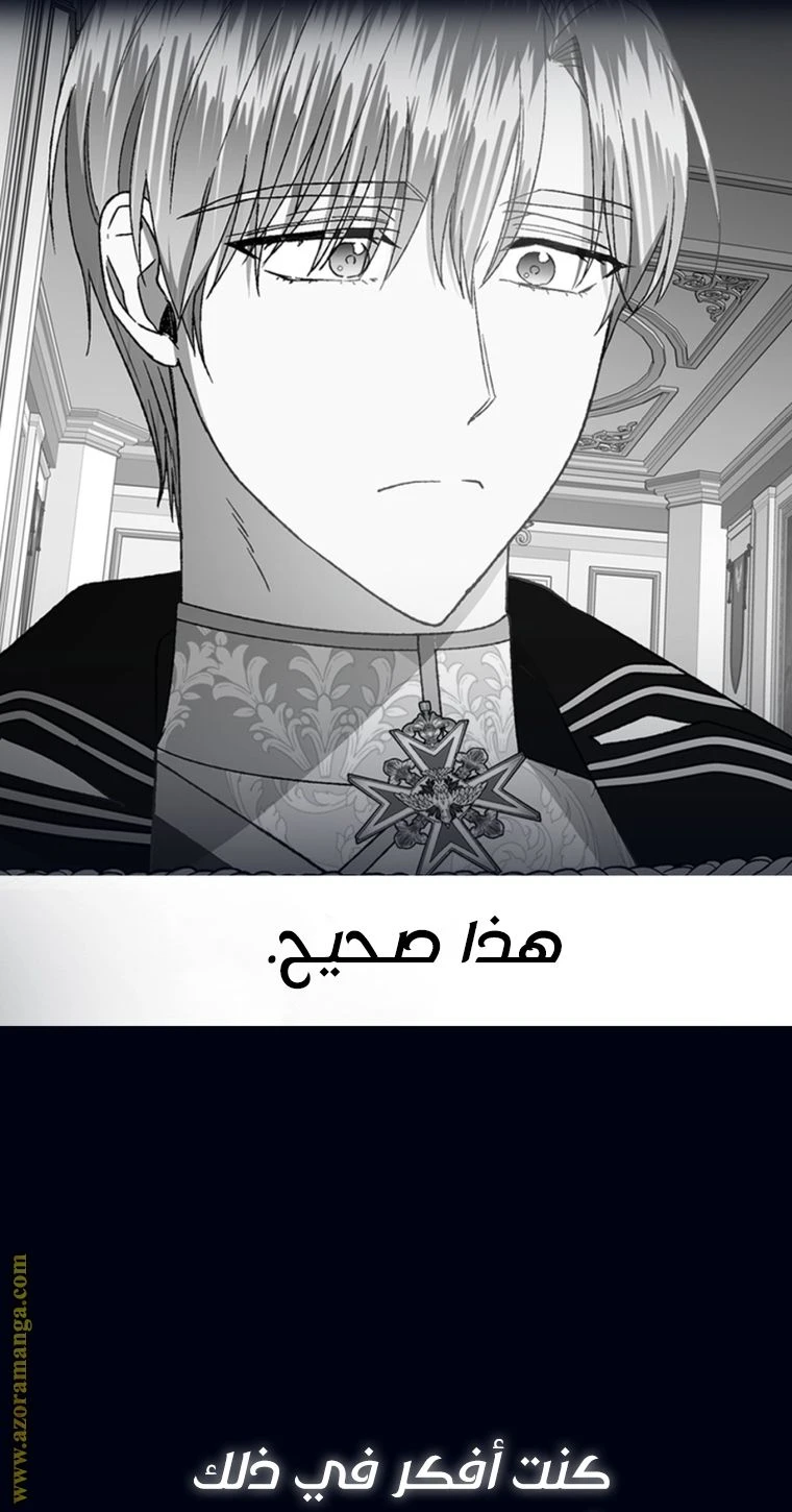 الصفحة 141