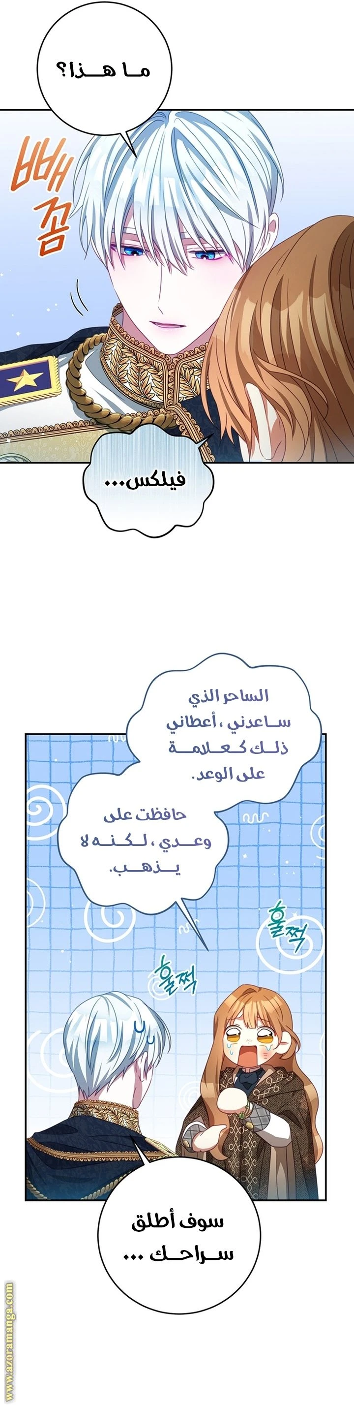 الصفحة 39