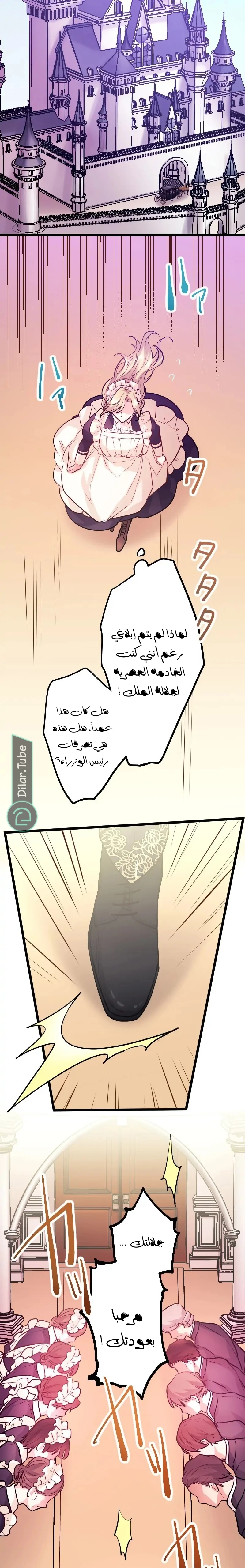 الصفحة 16