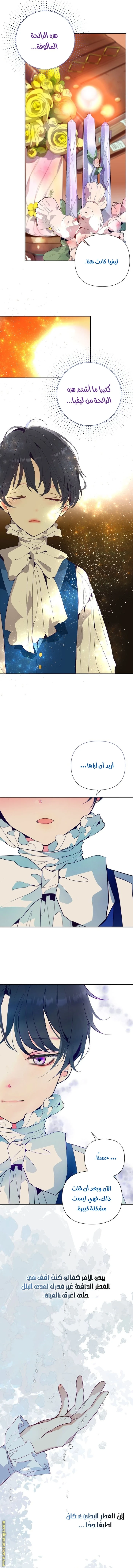 الصفحة 14