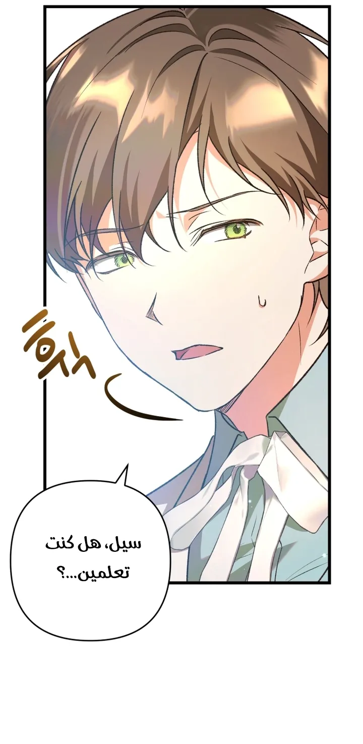 الصفحة 25