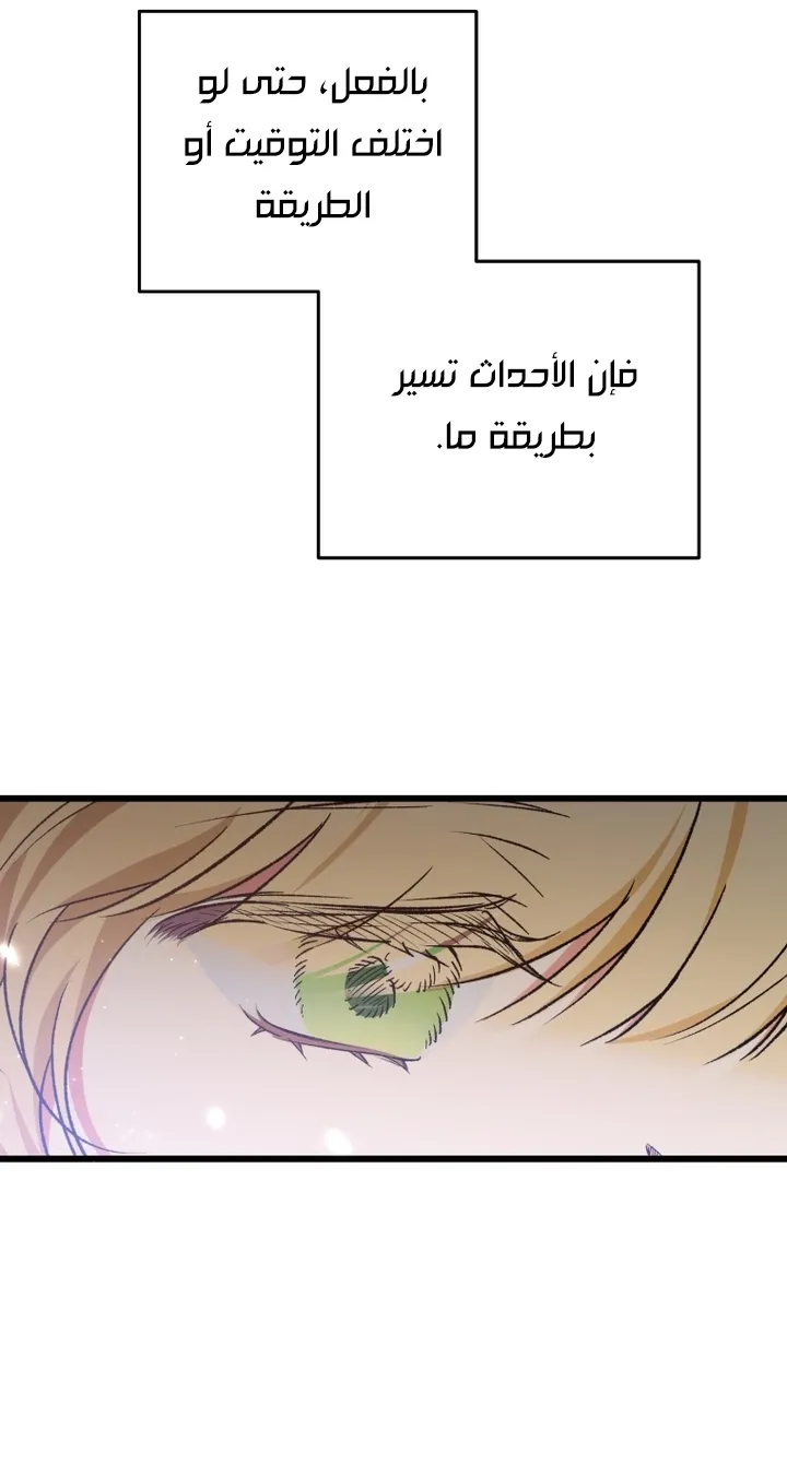 الصفحة 36