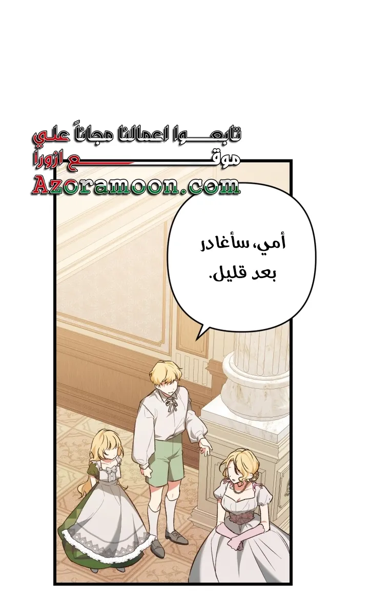 الصفحة 41