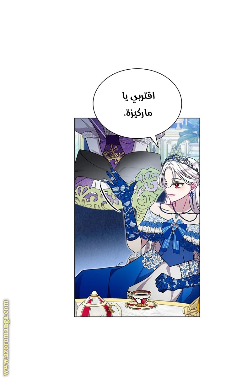 الصفحة 17