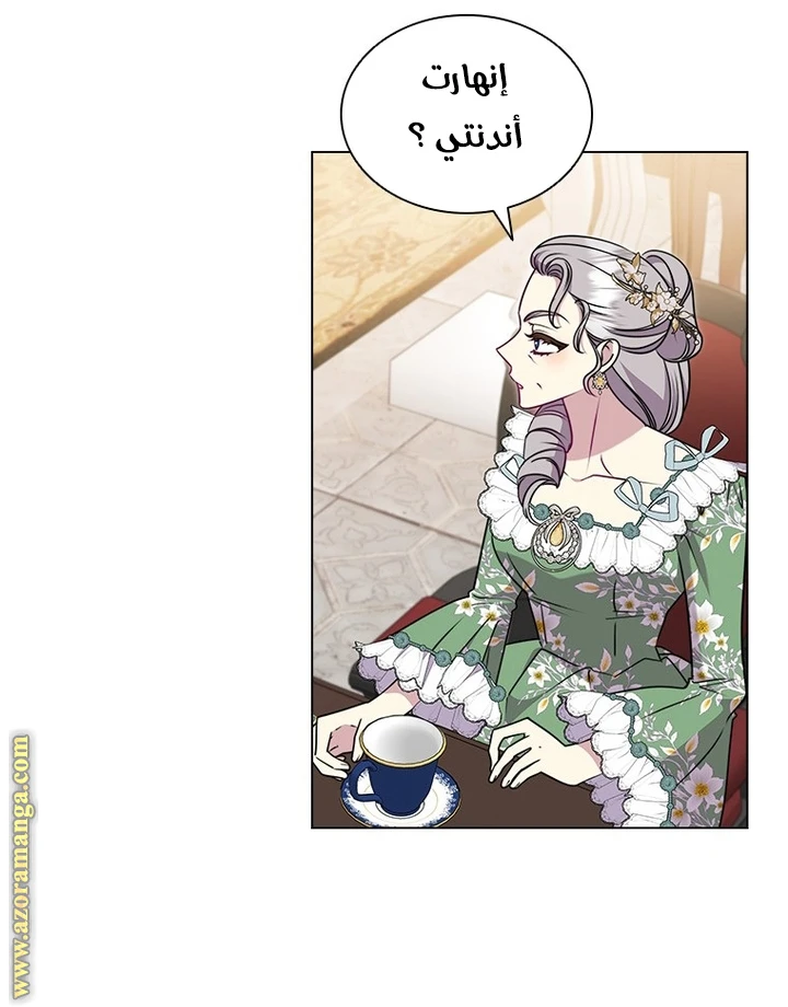 الصفحة 28