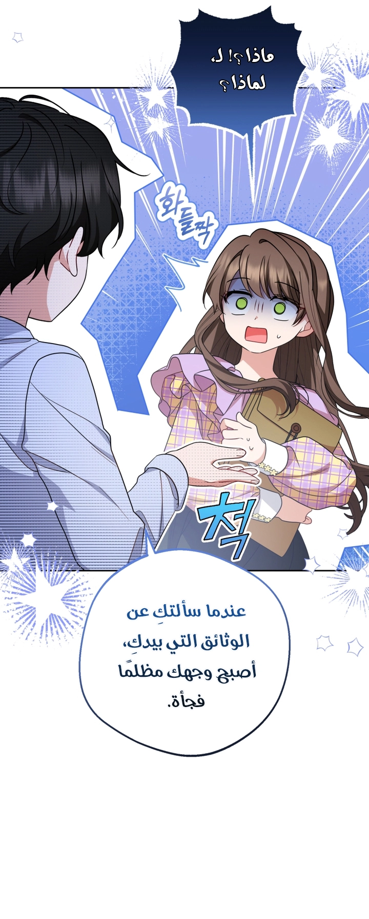الصفحة 26
