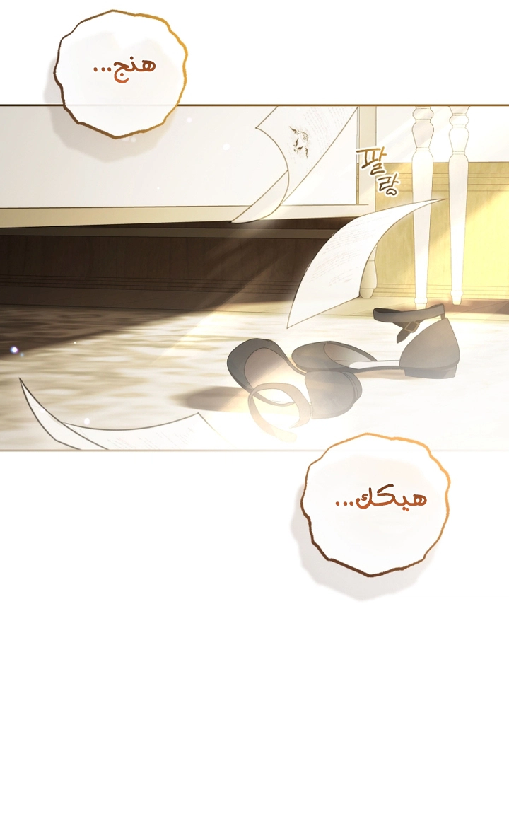 الصفحة 43