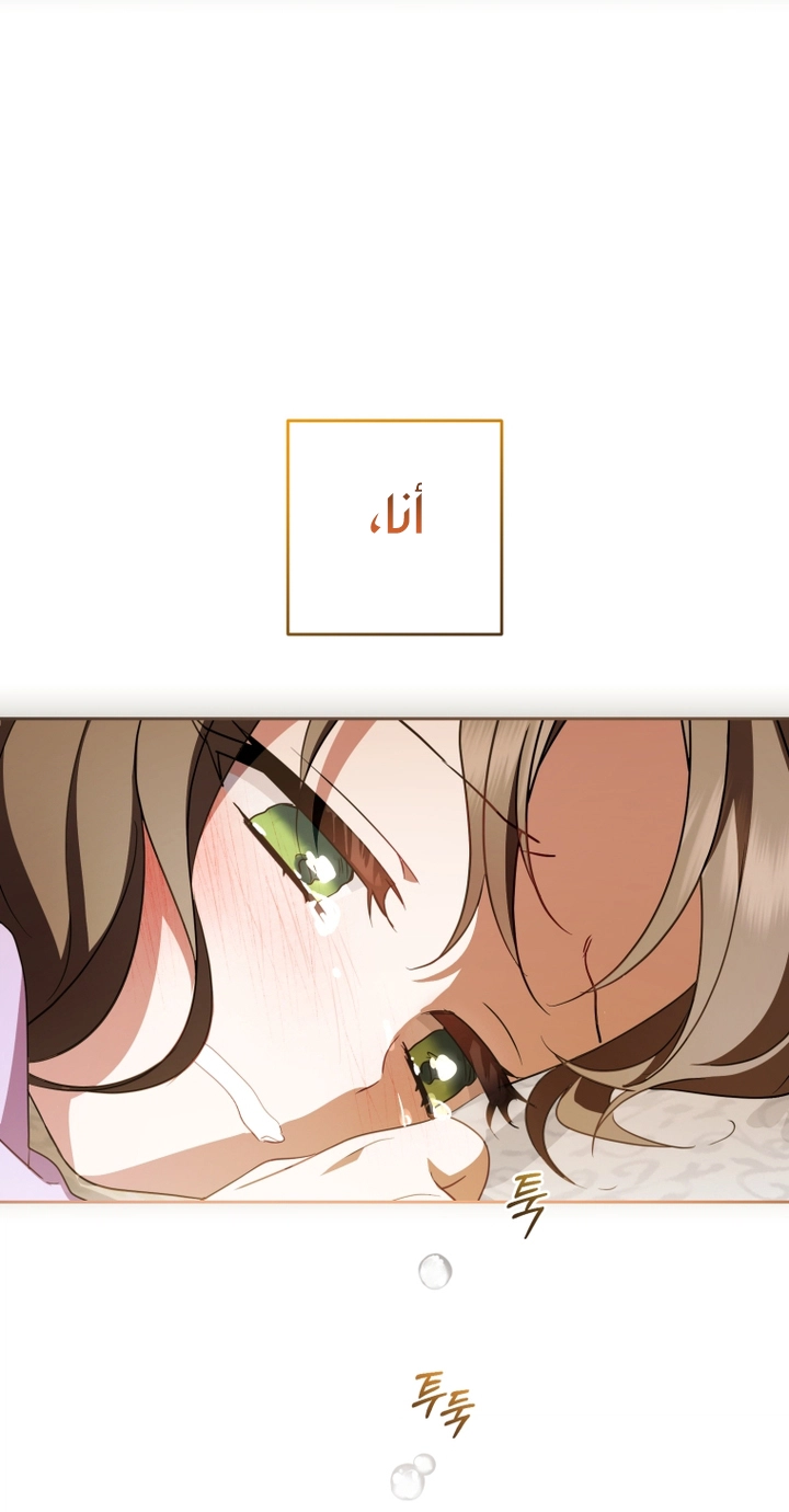 الصفحة 45