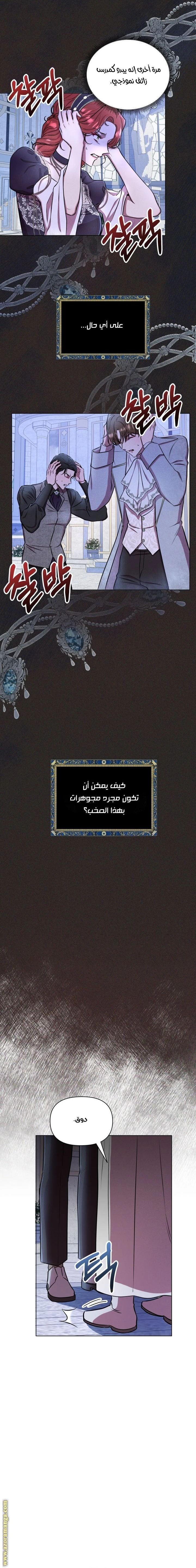 الصفحة 12
