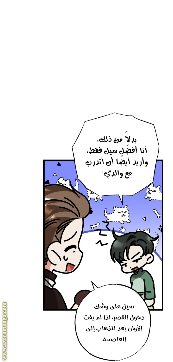 الصفحة 12